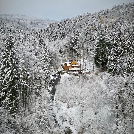 Pensjonat Alpejski Dwor 미에드지고르체 외부 사진