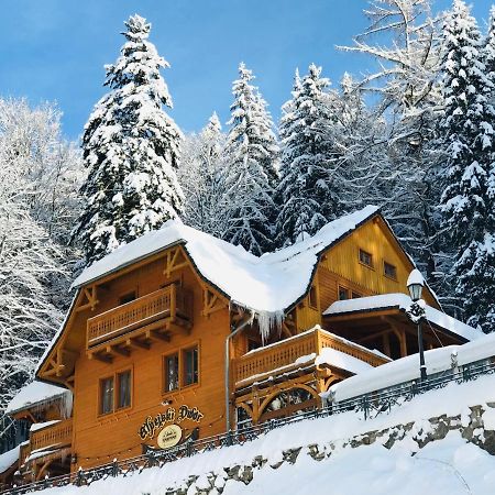 Pensjonat Alpejski Dwor 미에드지고르체 외부 사진